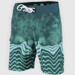 Бордшорты SooRuz Marin зеленый