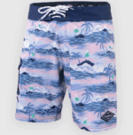 Бордшорты SooRuz Paolo синие пальмы